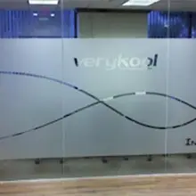 Decorated Frosted Glass Vinyl