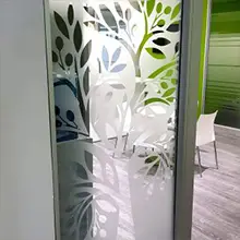 Decorated Frosted Glass Vinyl